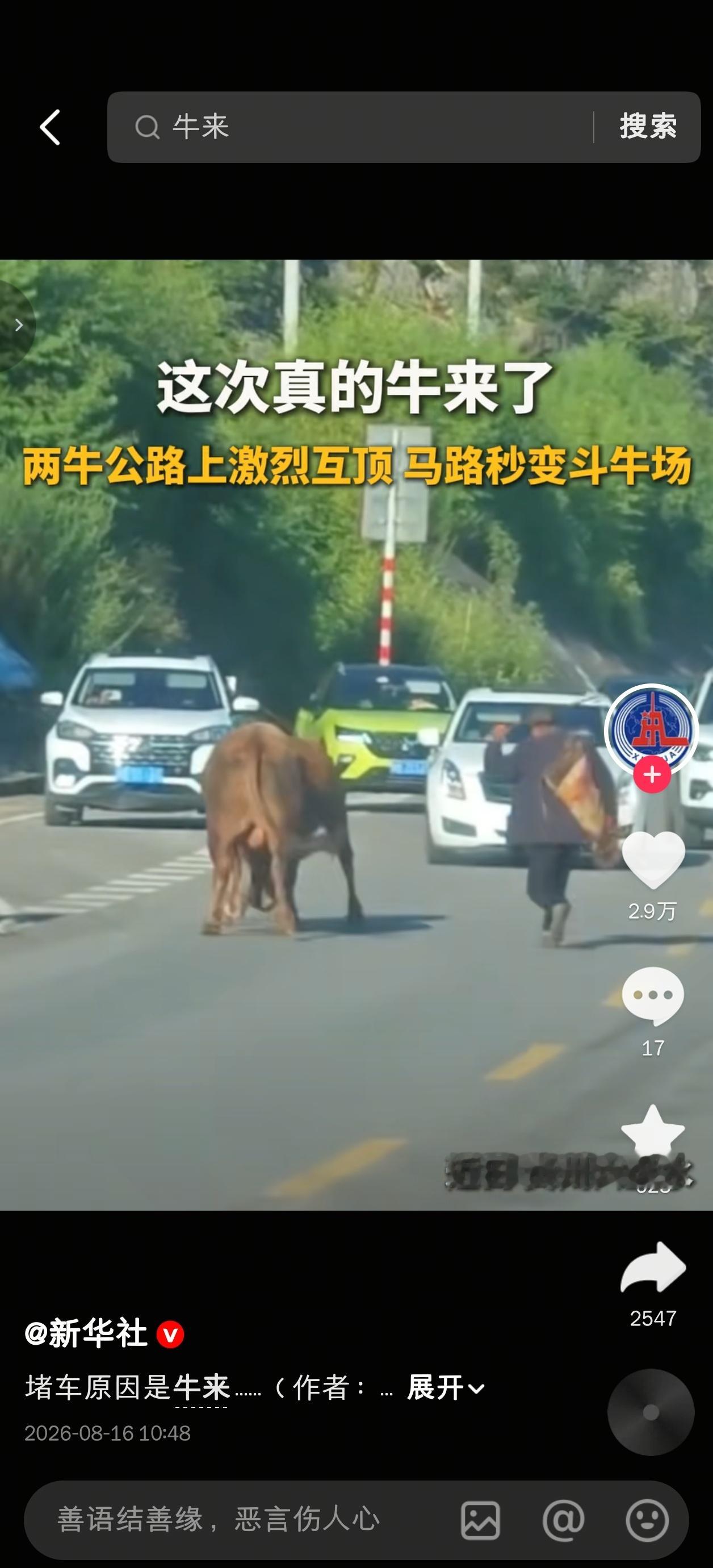 牛来的热度，连新华社都参与讨论了 