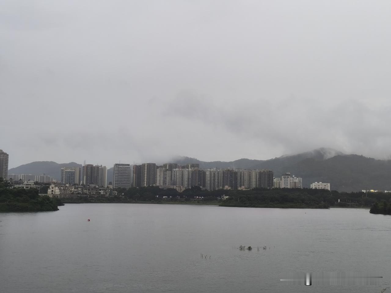 从中山到深圳上班两个多月，原本公司计划6月底搬回中山，奈何环评、消防验收遇上状况