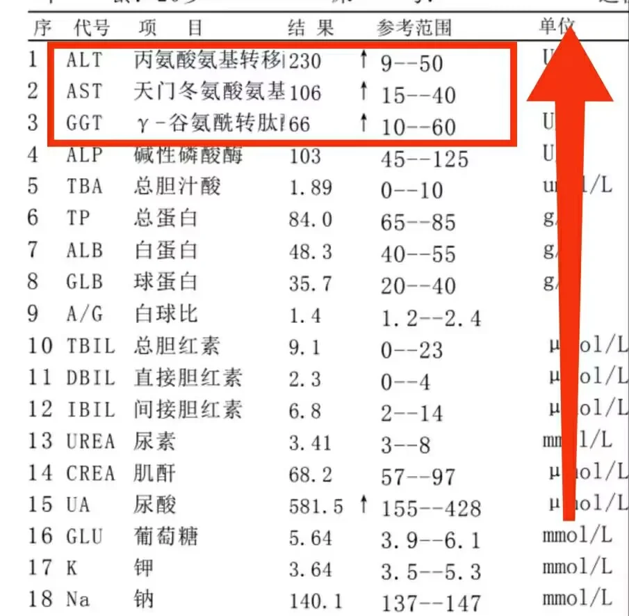 转氨酶升高，转氨酶升高！ 