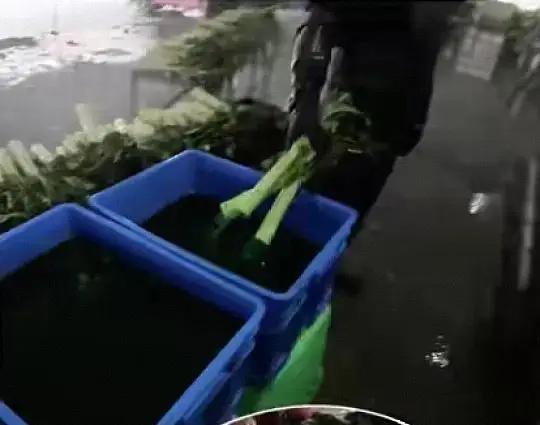 针对网传的染色莴笋事件，甘肃榆中发布官方通报。当地多部门开展联合排查，对53家蔬