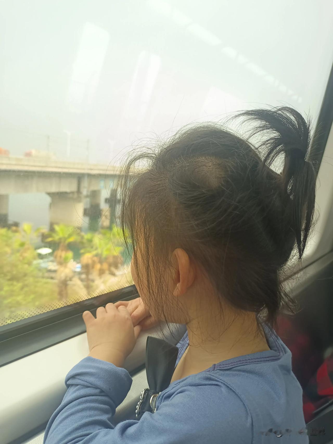 旅行～～
厦门中山公园，动物园，总有快乐时光。