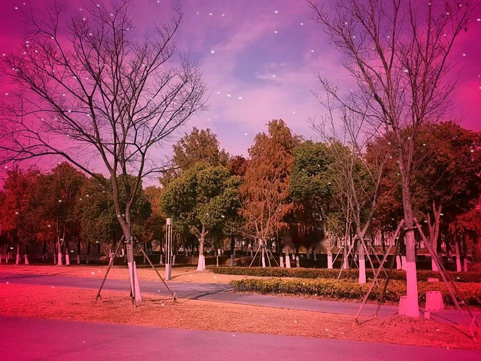 今年真是不一样的冬天