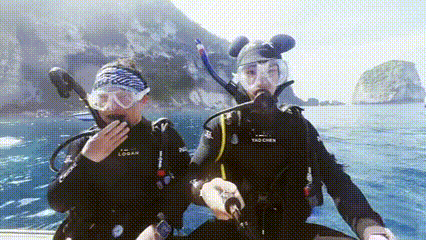 姚琛镜头里的海底世界终于蹲到姚琛的新潜水vlog了，第一视角下海真的太真实了。看