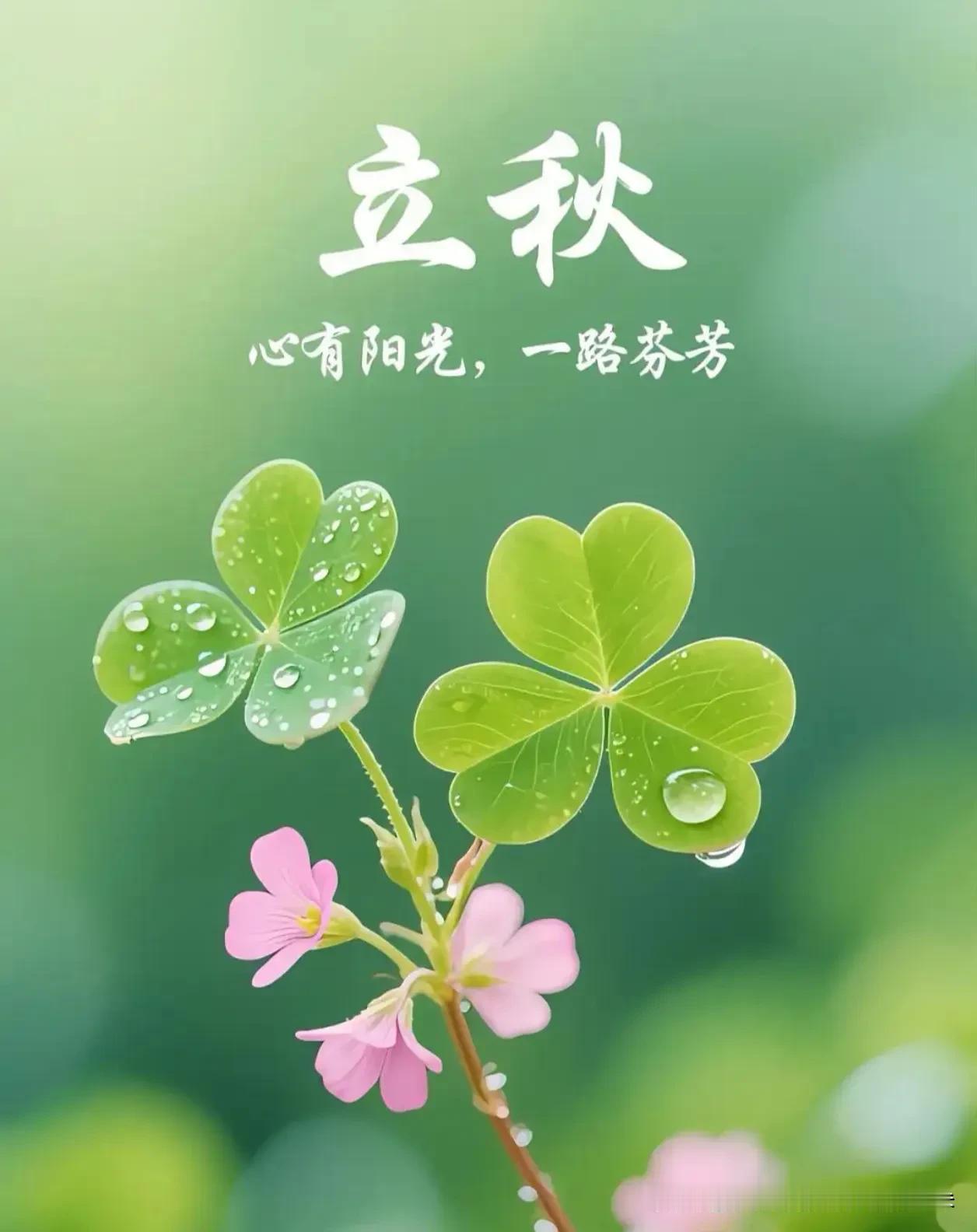今日立秋：暑意未消，但万物已在悄悄转身

｜2026年8月7日｜农历六月十五｜立