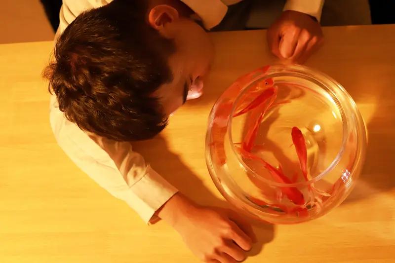 ① 金鱼记忆真相**

说人"金鱼记忆"是在骂你？其实是在夸你。

科学家早就证