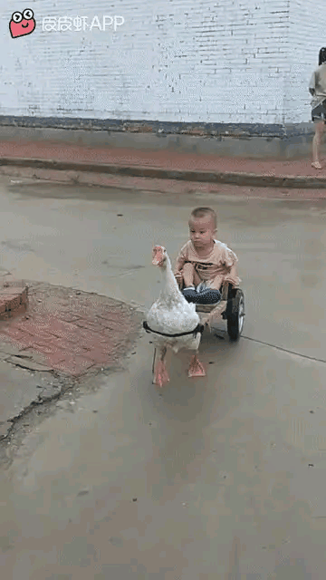 有了这个交通工具，绝对是这条街上最靓的仔[灵光一闪]