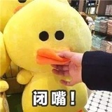 观雪热品娱乐