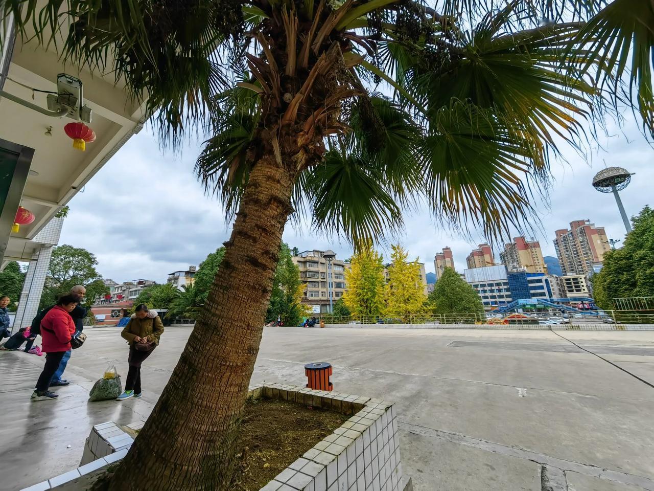 分享一张你最近随手拍的照片吧