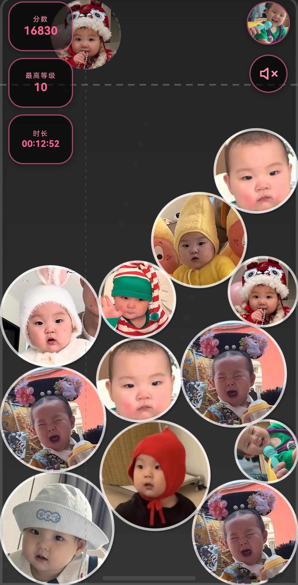 茉莉茉莉 ​​​
