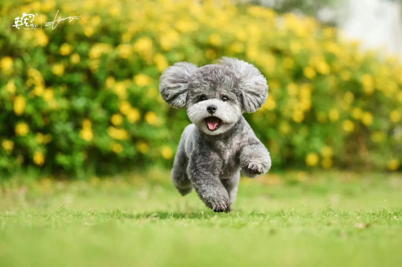 【长沙】捡漏张老师空档
今年5月5日，只有一个档期
IPA国际摄影金奖摄影家，张