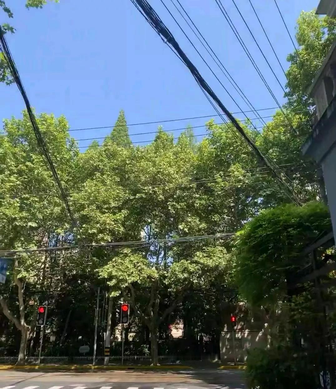 确实不错，媳妇也能开着它出门

本来是想买兄弟推荐的普拉多的，不过家里人不同意，