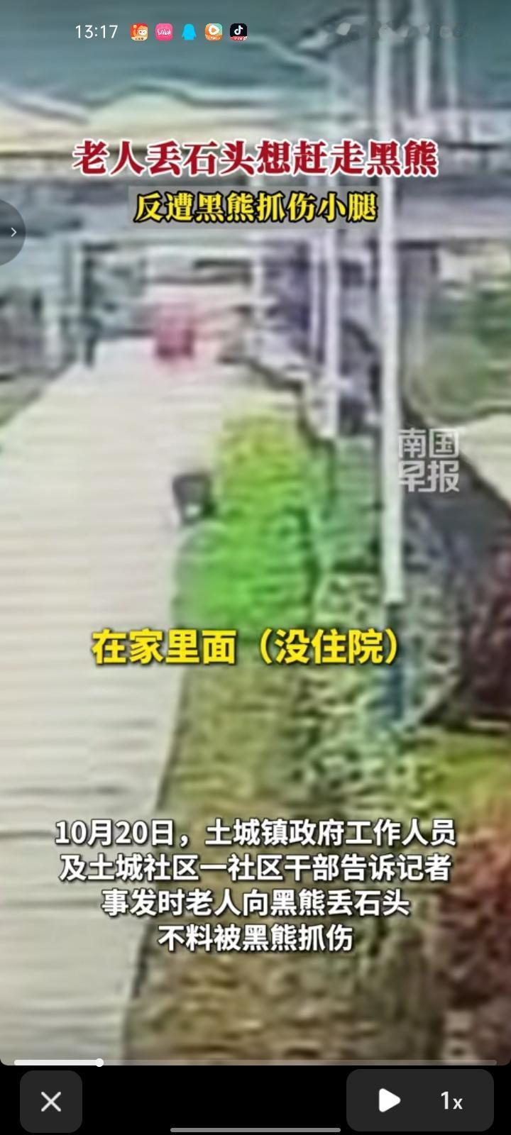 10月18日，重庆市巫溪县。网友发视频称，老人在自家门口约200米处遭黑熊袭击。