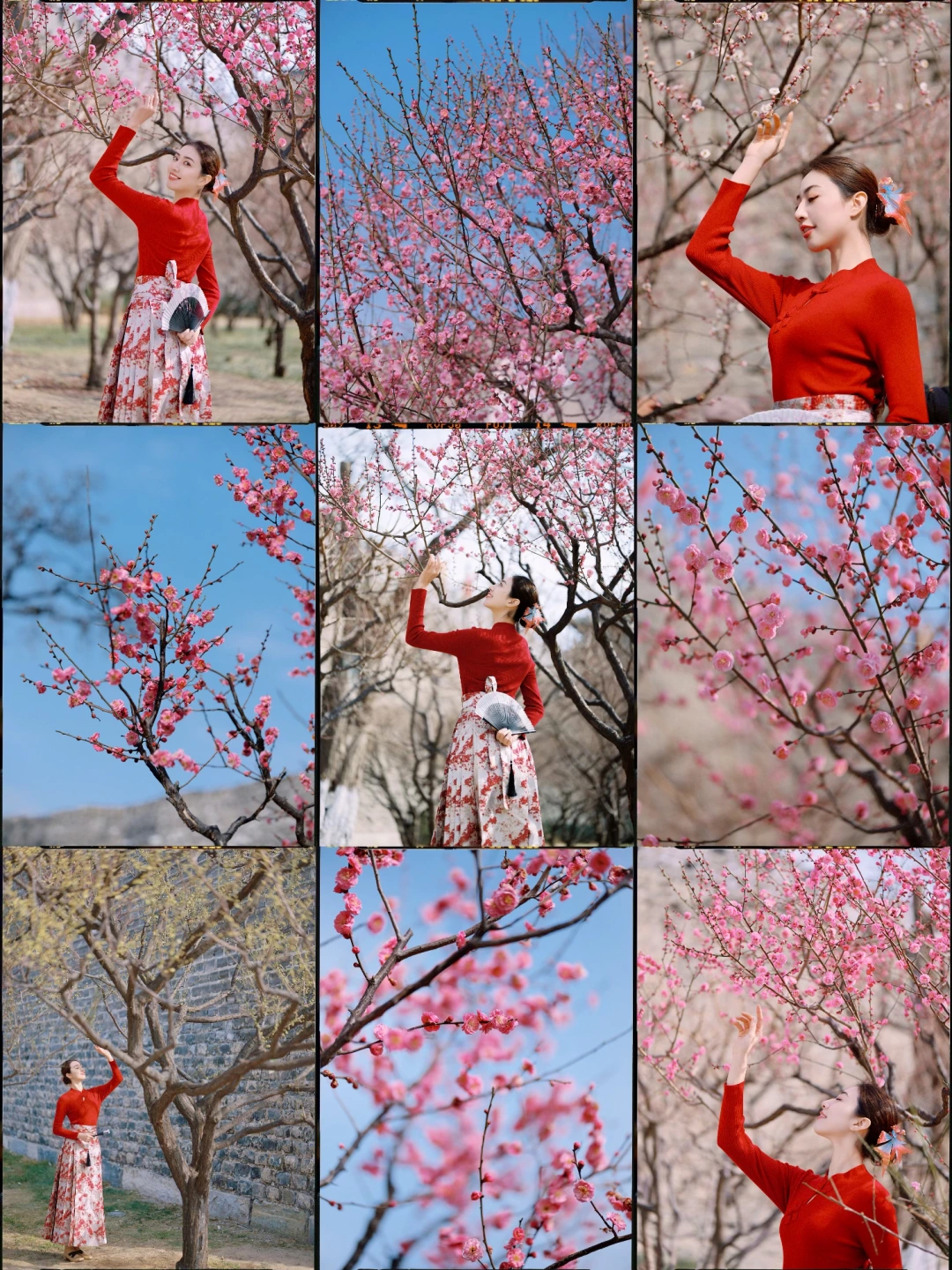 别挤颐和园！明城墙下才是京城梅花顶流🌺