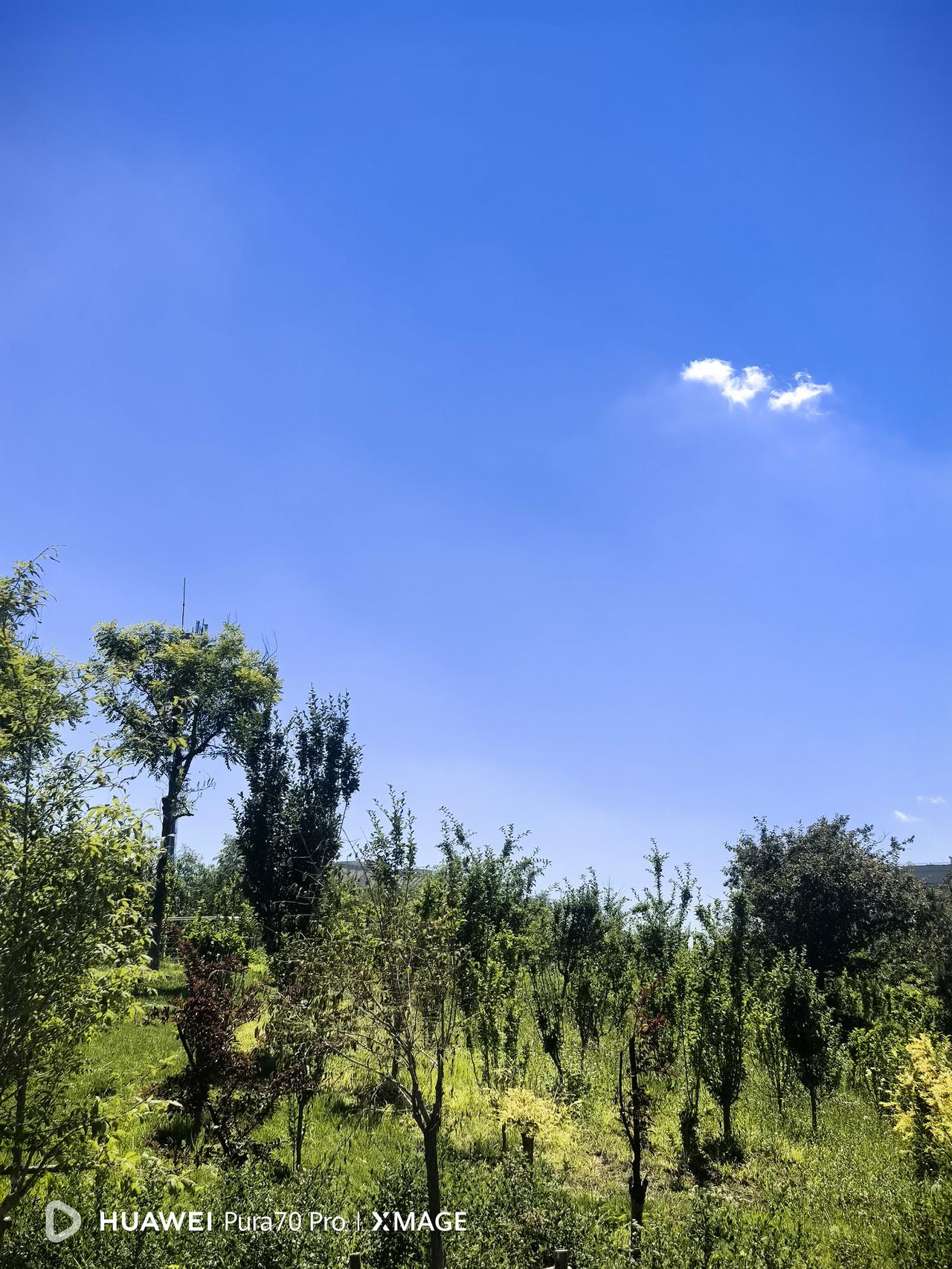 今天看了网友的一篇文章，觉得非常扎心。他说，再过三十年，等六零后、七零后这批老哥