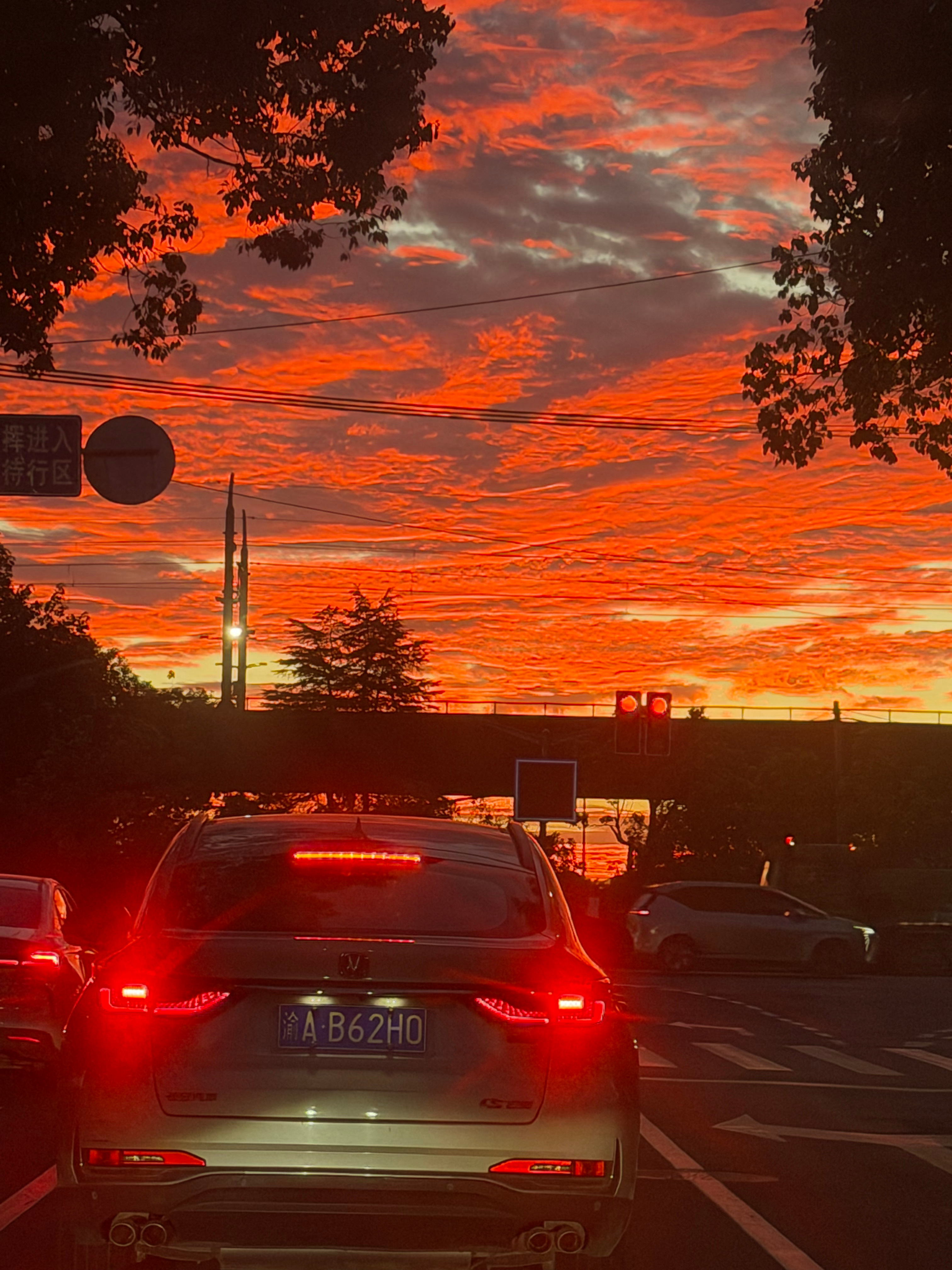 早起出差，迎面而来的日出🌅年纪越大越不抗拒早班机，要出差三四天，理箱子带的三套