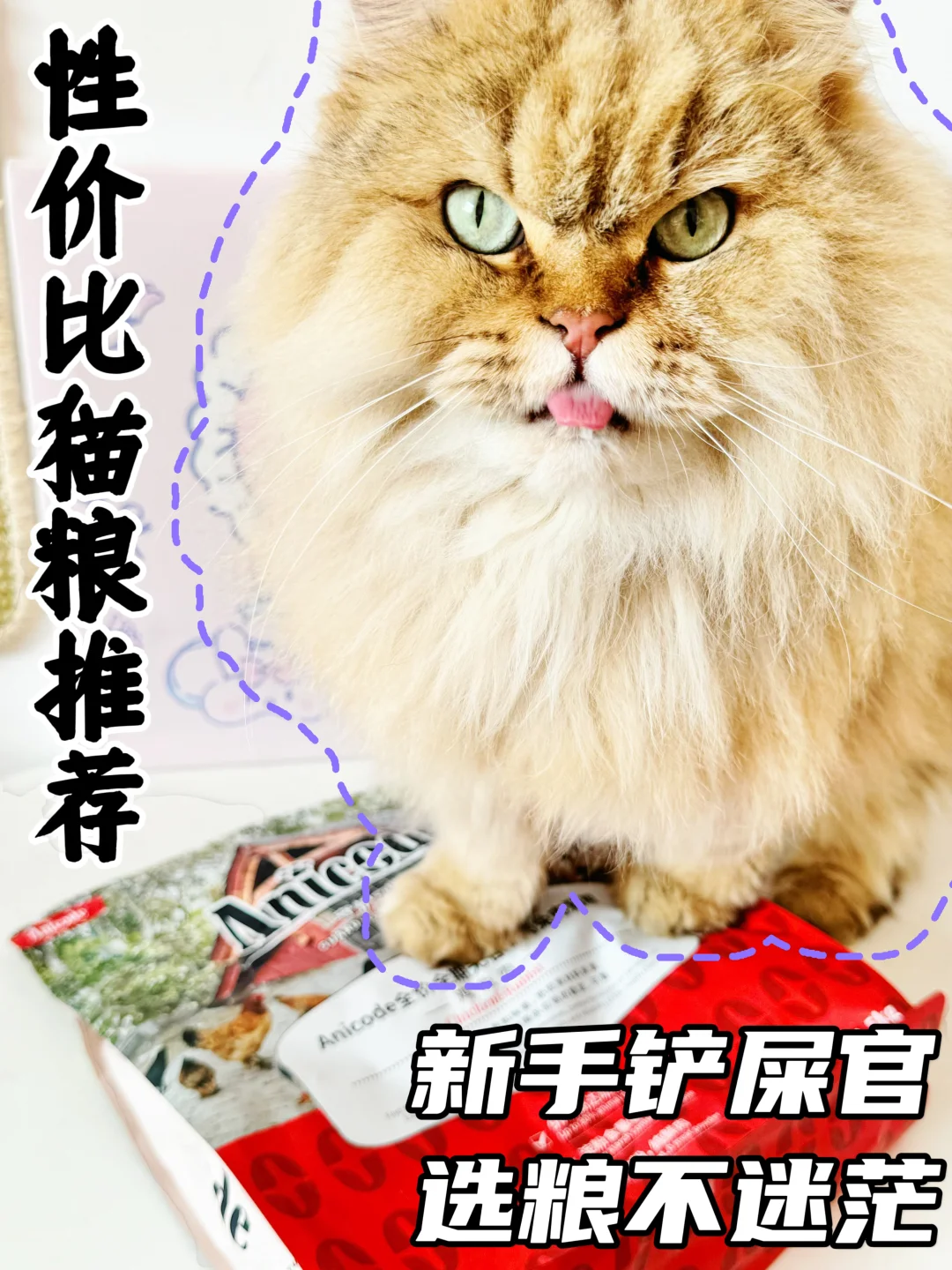 不花一分冤枉钱！要质量也要好价！