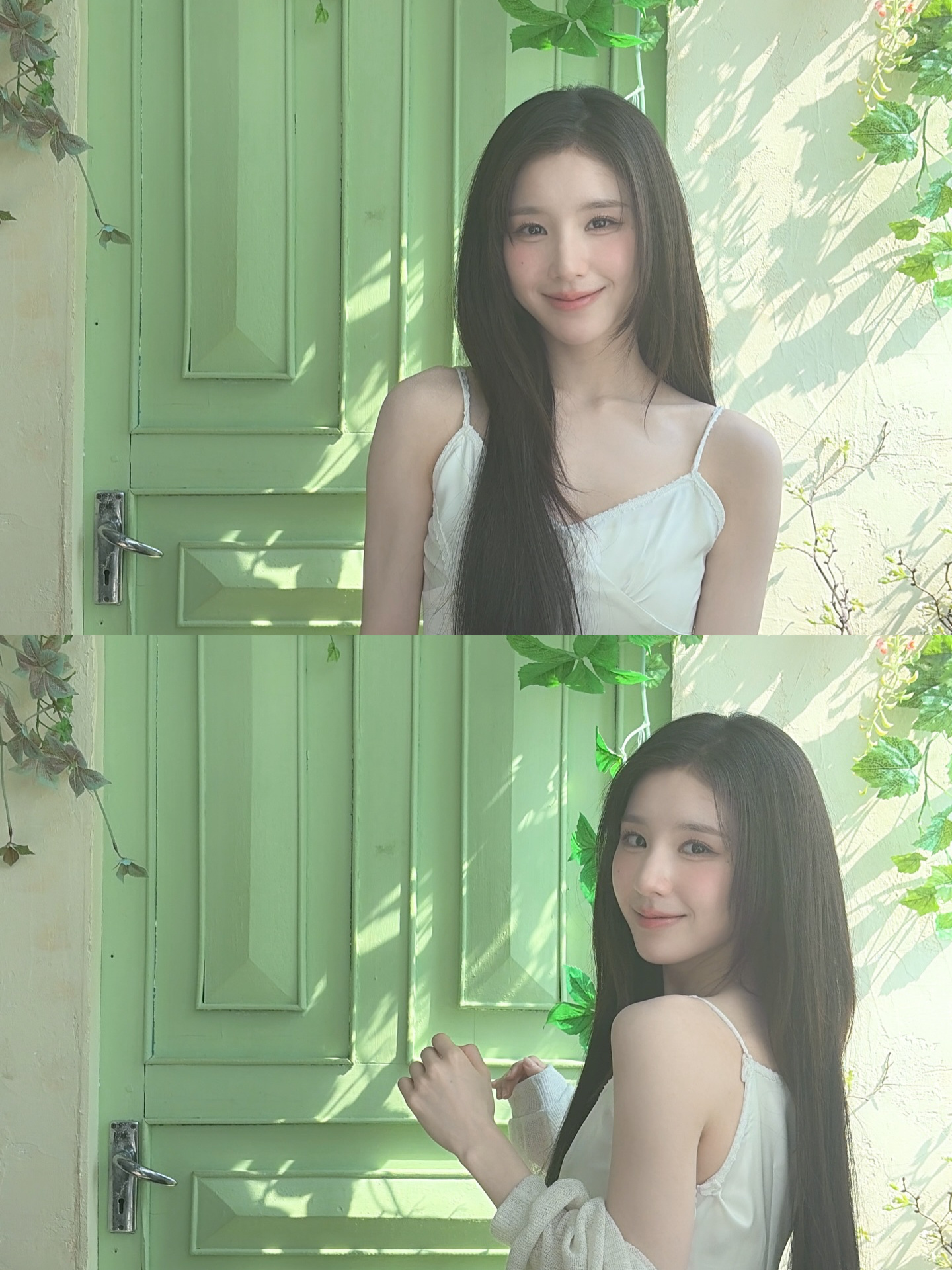 🍃☁️*田姬振 