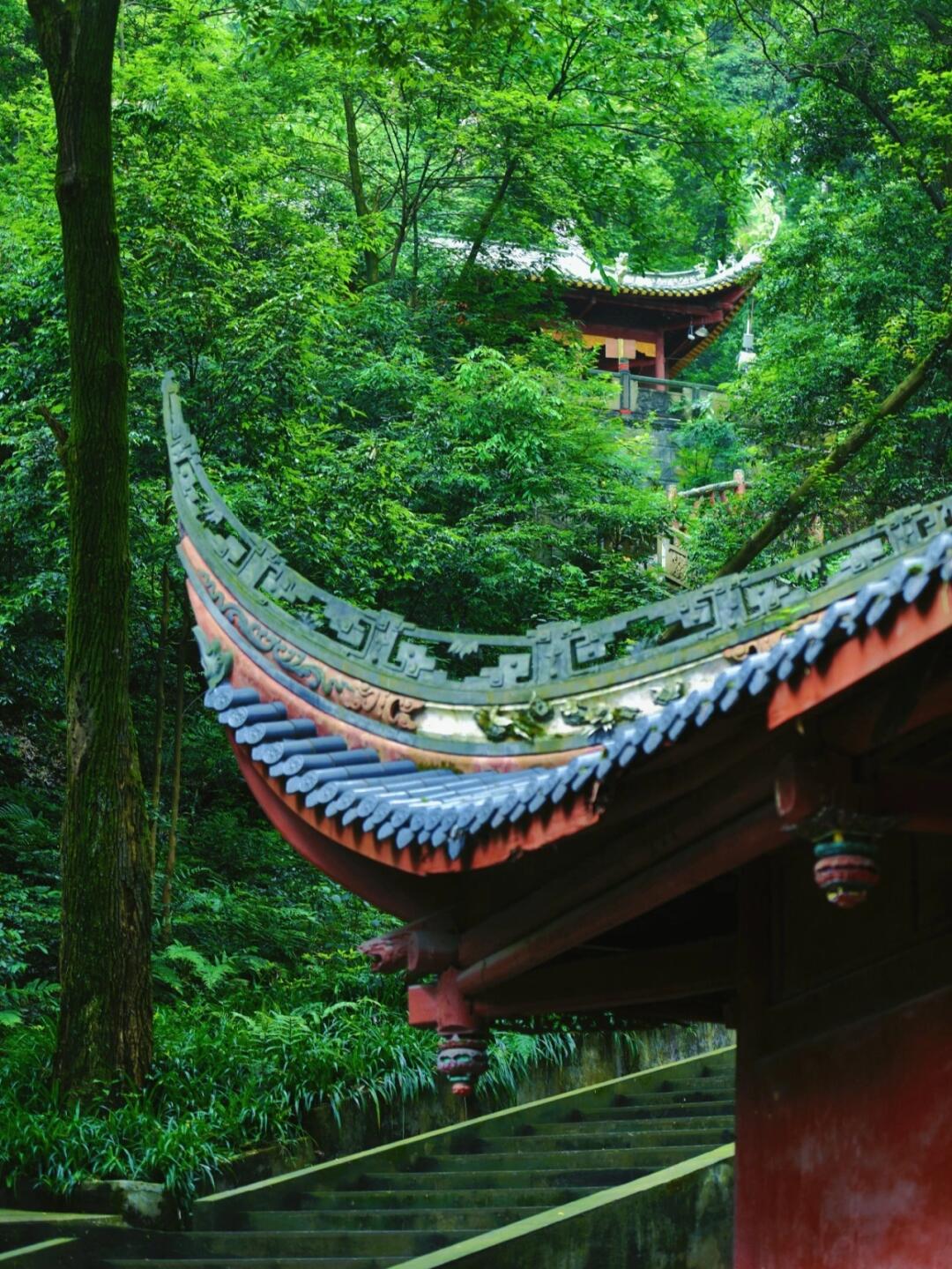 半座山都是寺|古树与鲜花环绕的千年古寺