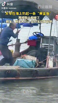 高光时刻！福建，一大爷在海上垂钓，当大爷提起鱼竿时惊起“哇”声一片。

据看齐新