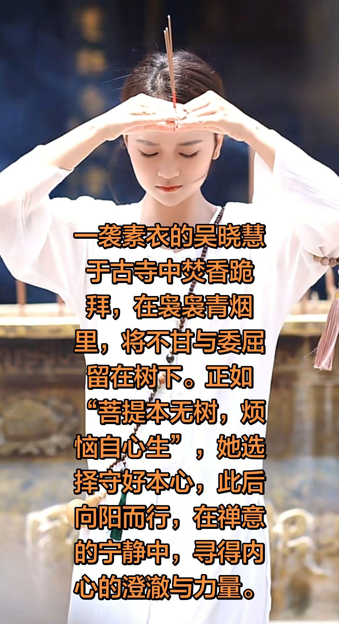 杨了个阳