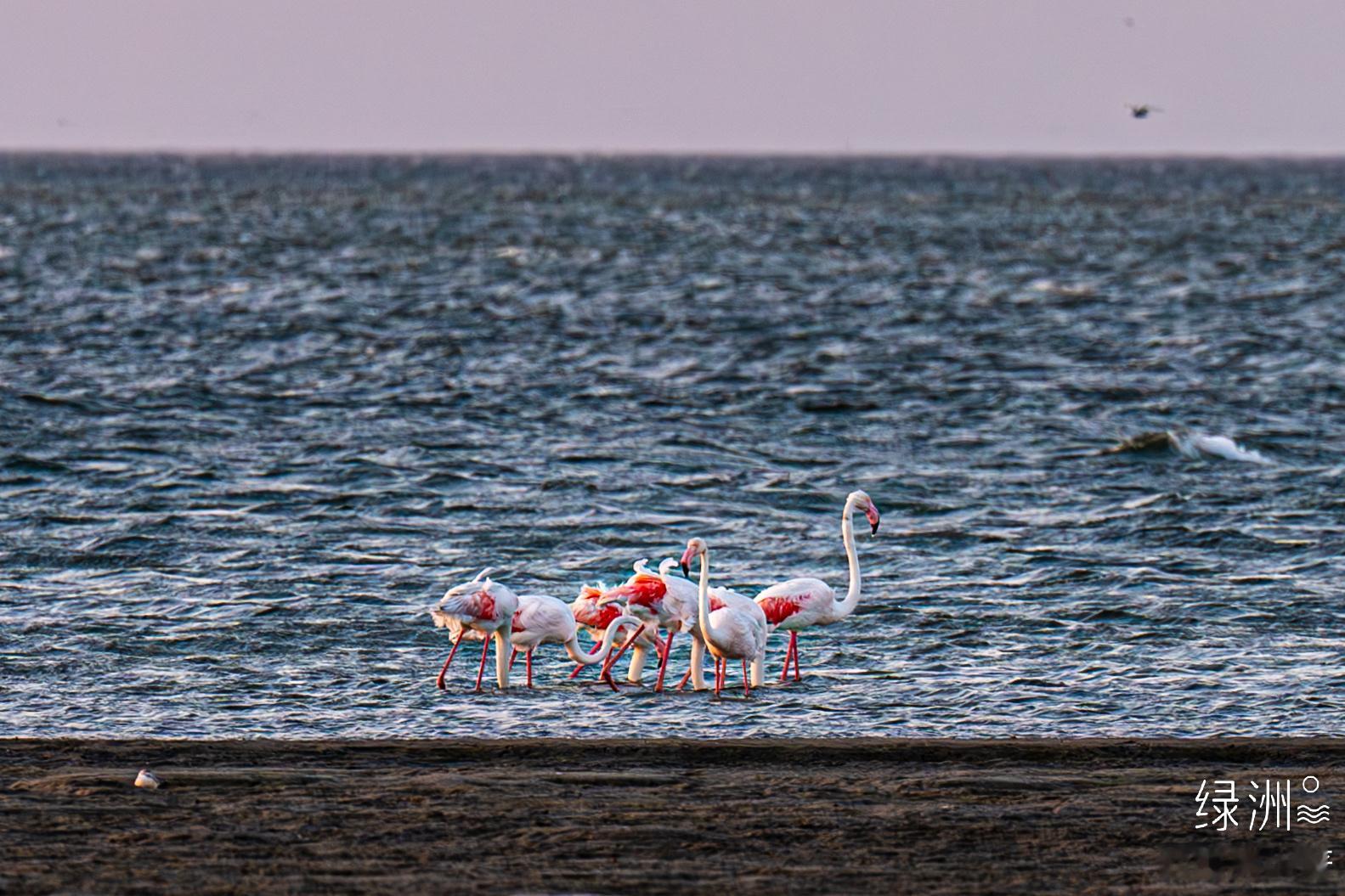 美丽冻人 鲸湾    
