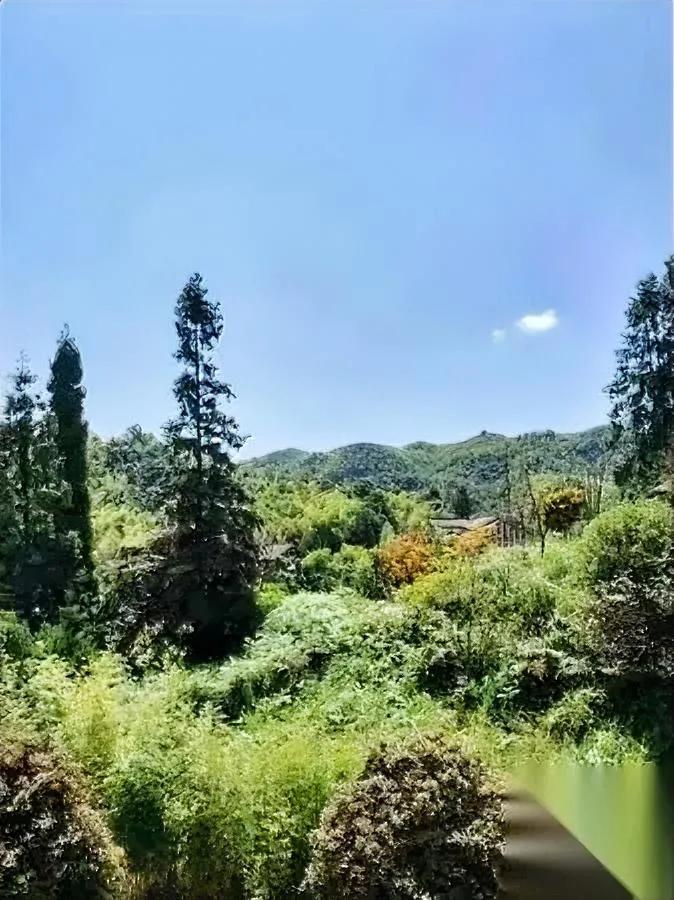 50岁被女儿骂醒

她竟说我前半生全错了

昨晚女儿（985博士）突然问我：“妈