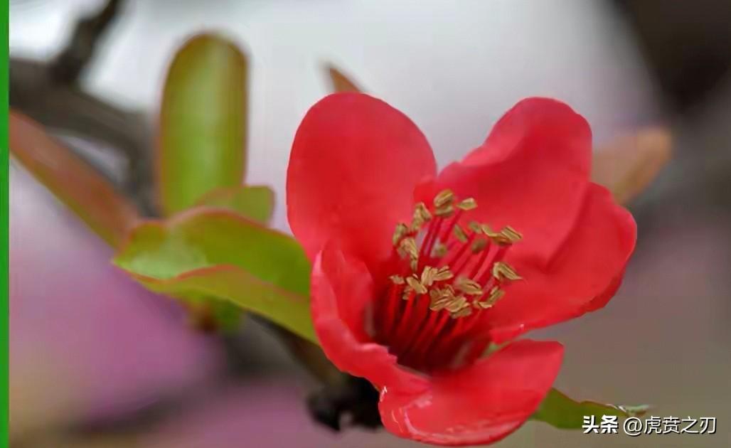 如今不少女大学生渴望恋爱，却因缺乏社会经验、心智尚不成熟，很容易被成熟稳重的成年