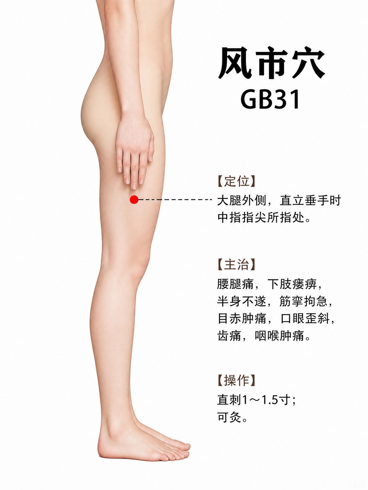 风市穴：垂手就能找到的"祛风开关"

今天聊一个找起来零门槛的穴位——风市穴。站