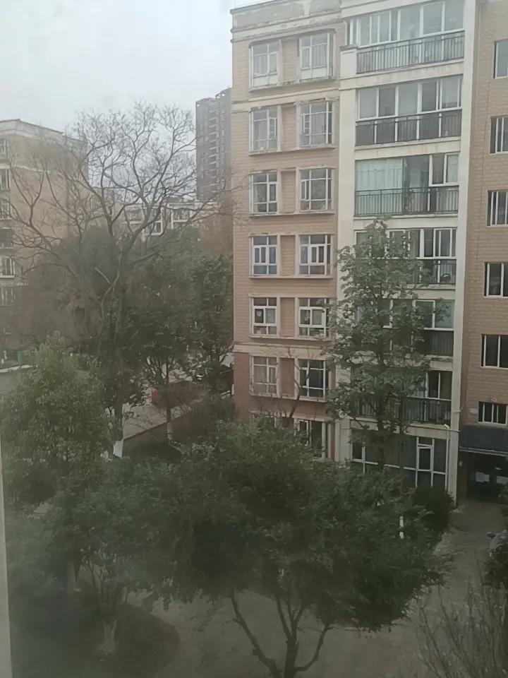 家中窗外美景随手拍