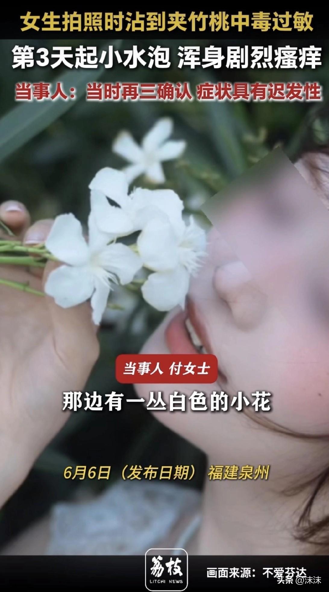 她把那朵白色夹竹桃塞进嘴里的时候，觉得这花真好看。她不知道，三天后整个后背会像被