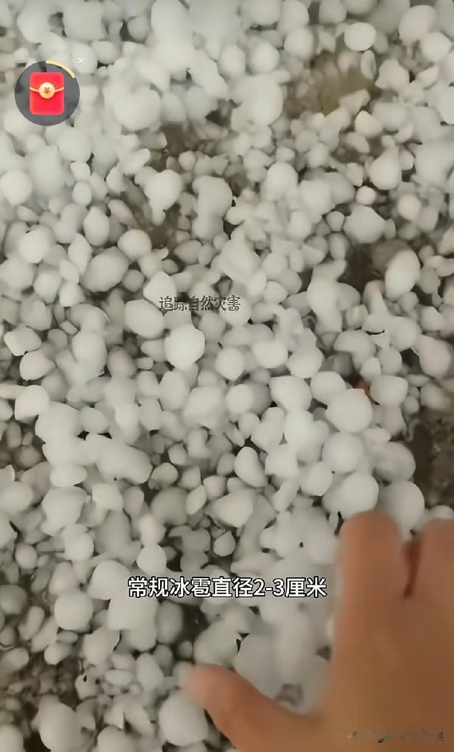 7月5日邯郸遭受冰雹灾害。

据有网友分享的视频显示，雨后冰雹把庄稼，汽车，房瓦