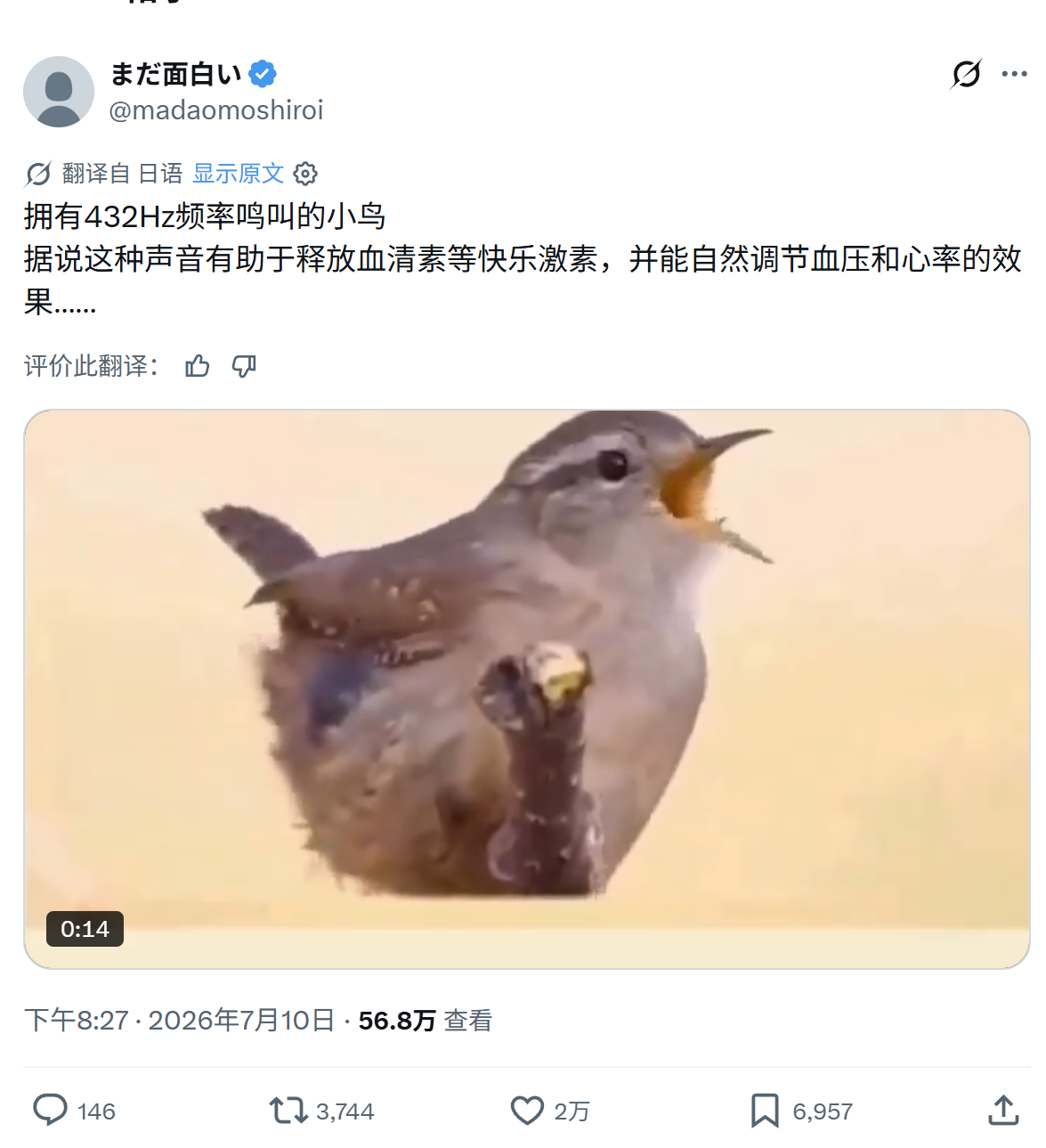拥有432Hz频率鸣叫的小鸟据说这种声音有助于释放血清素等快乐激素，并能自然调节