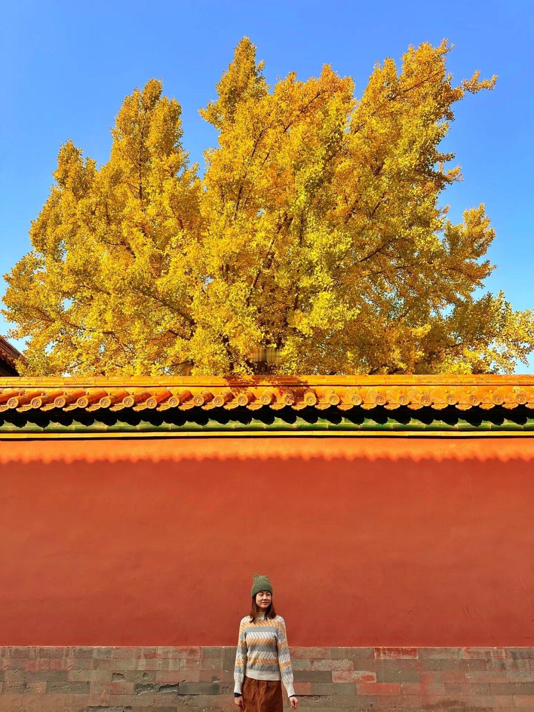 立冬的北京City walk，这些地方🍁错过等一年