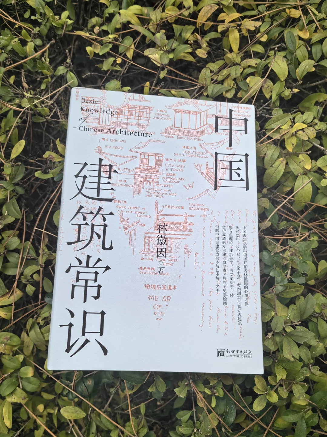 林徽因的建筑课？沈尹默的书法课？不是做梦