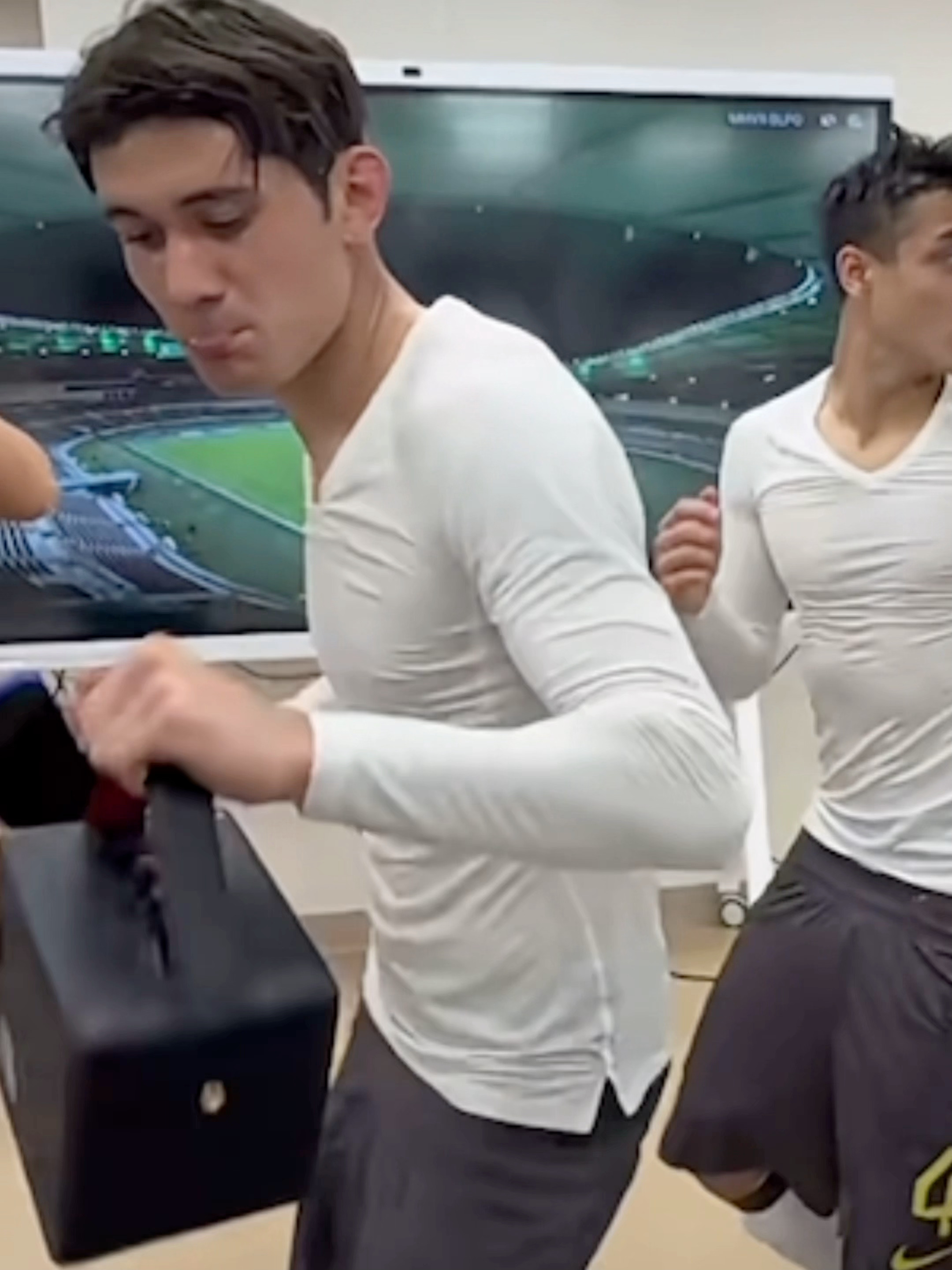 有人说拜合拉木长得像罗 … 