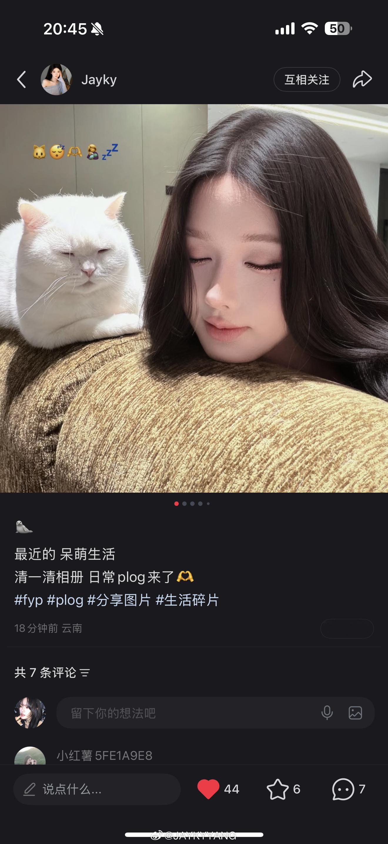 家人们 又是跟红薯相爱相杀的一天 发了一组日常