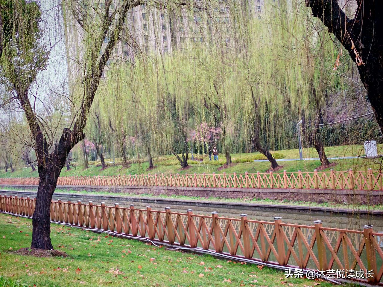 写微头条这么久，我终于想通了一件事：
 
不为流量为难自己，不为数据折磨心情。