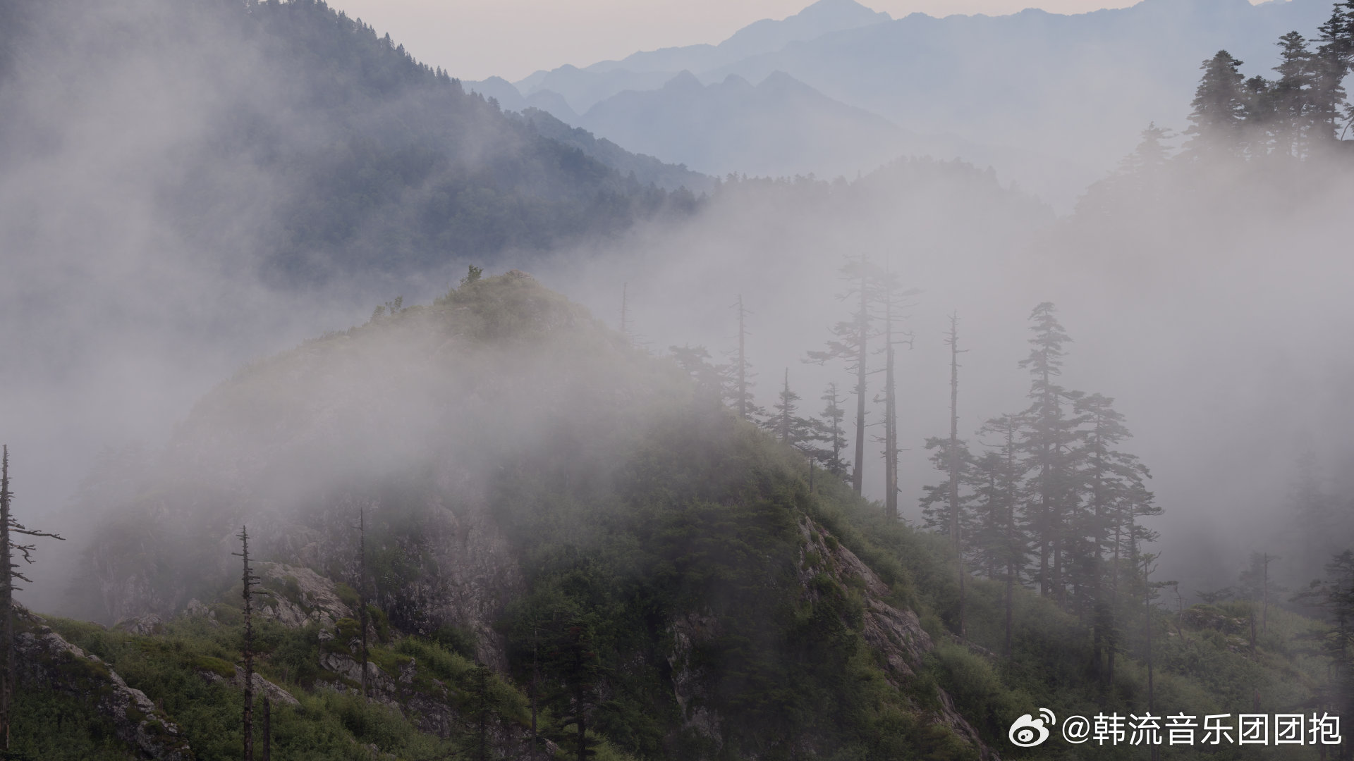 陈坤体验一山四季 在中央山脉的云海和巨石之间，陈坤的状态太绝了。仰头看花的侧颜，