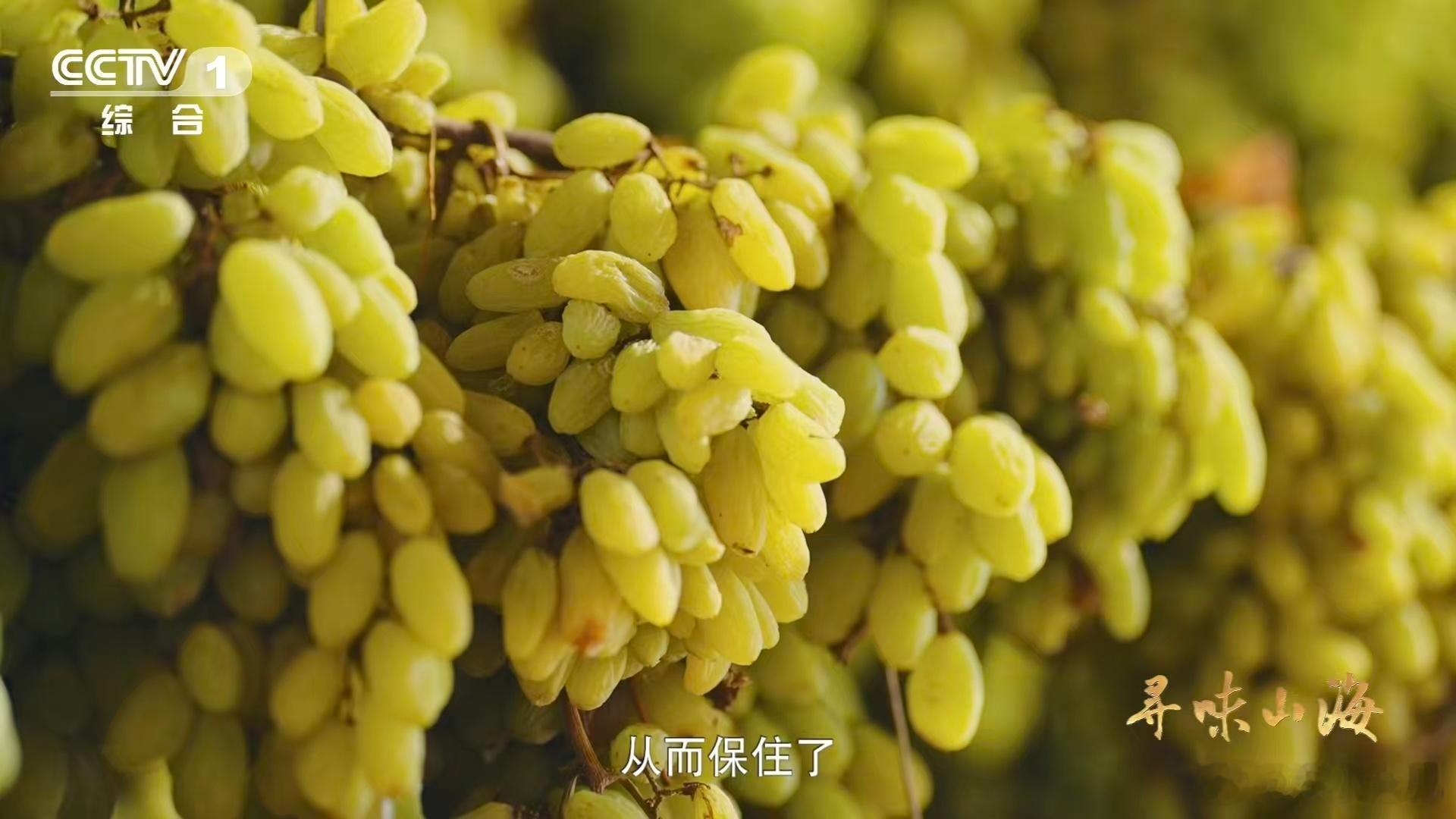 10颗葡萄干里9颗来自吐鲁番 当晨曦洒在吐鲁番的晾房上，500余种葡萄干开始了它