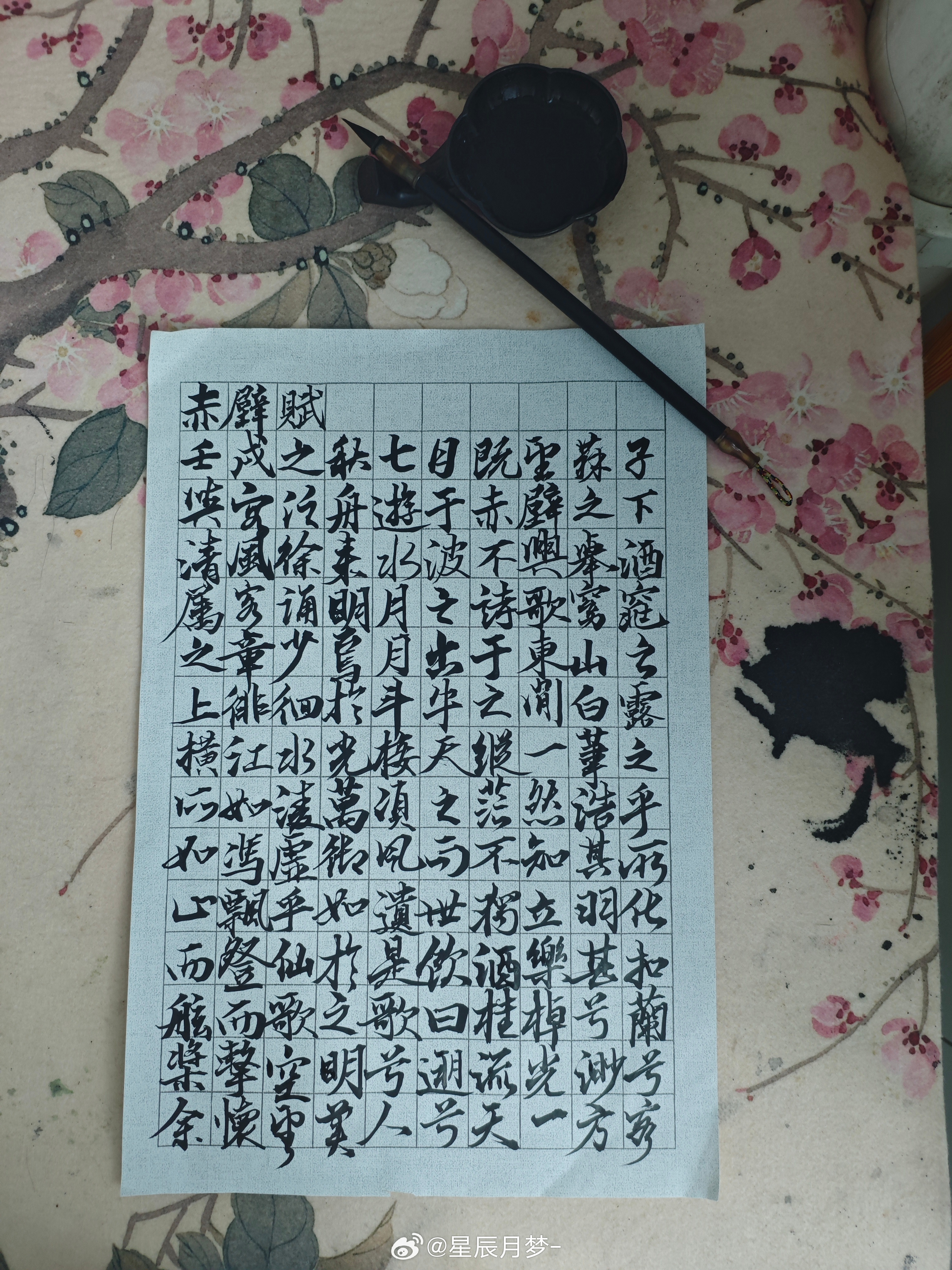罗云熙 罗云熙熙字如金之留白实验市 熙字如金day706天练字临摹苏轼《前赤壁赋