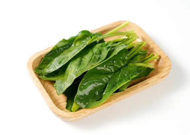 菠菜除了不能跟豆腐一起吃，还不能跟什么一起食用？