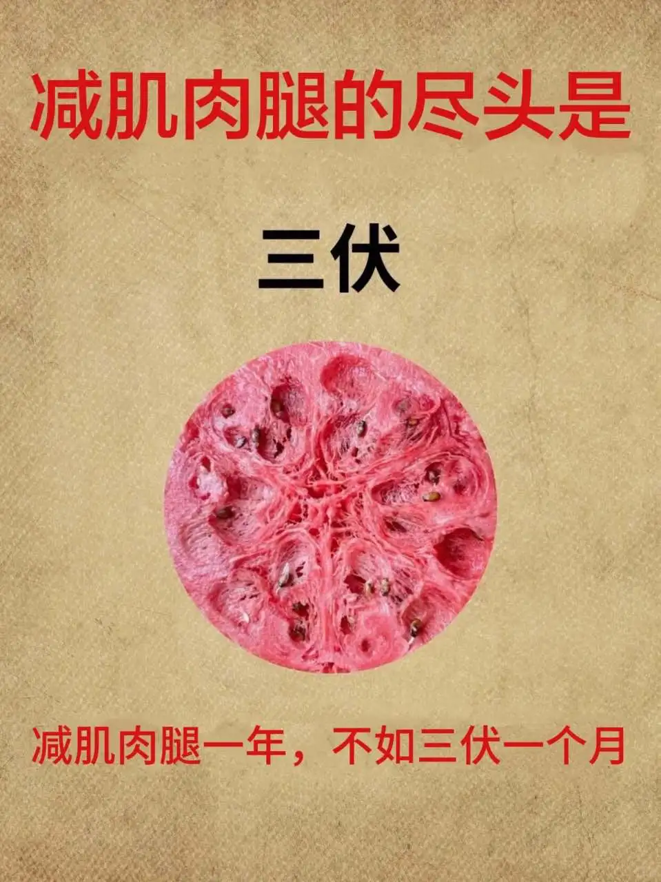三伏天黄金四十天，减肌肉腿的正确顺序！！