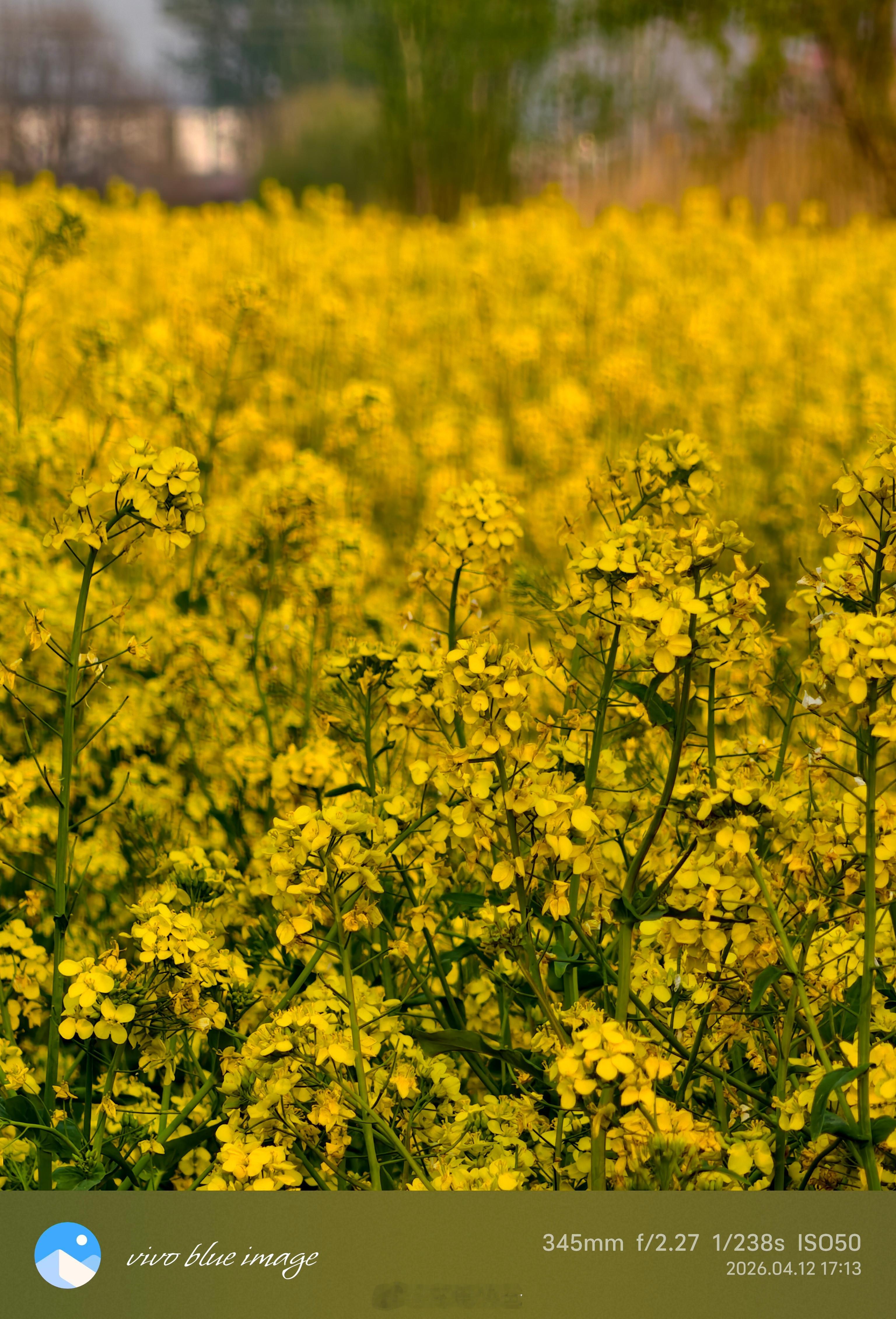说个暴露年龄的话题，可有看过成龙和王力宏主演的一部电影 大兵小将，片尾曲就是成龙