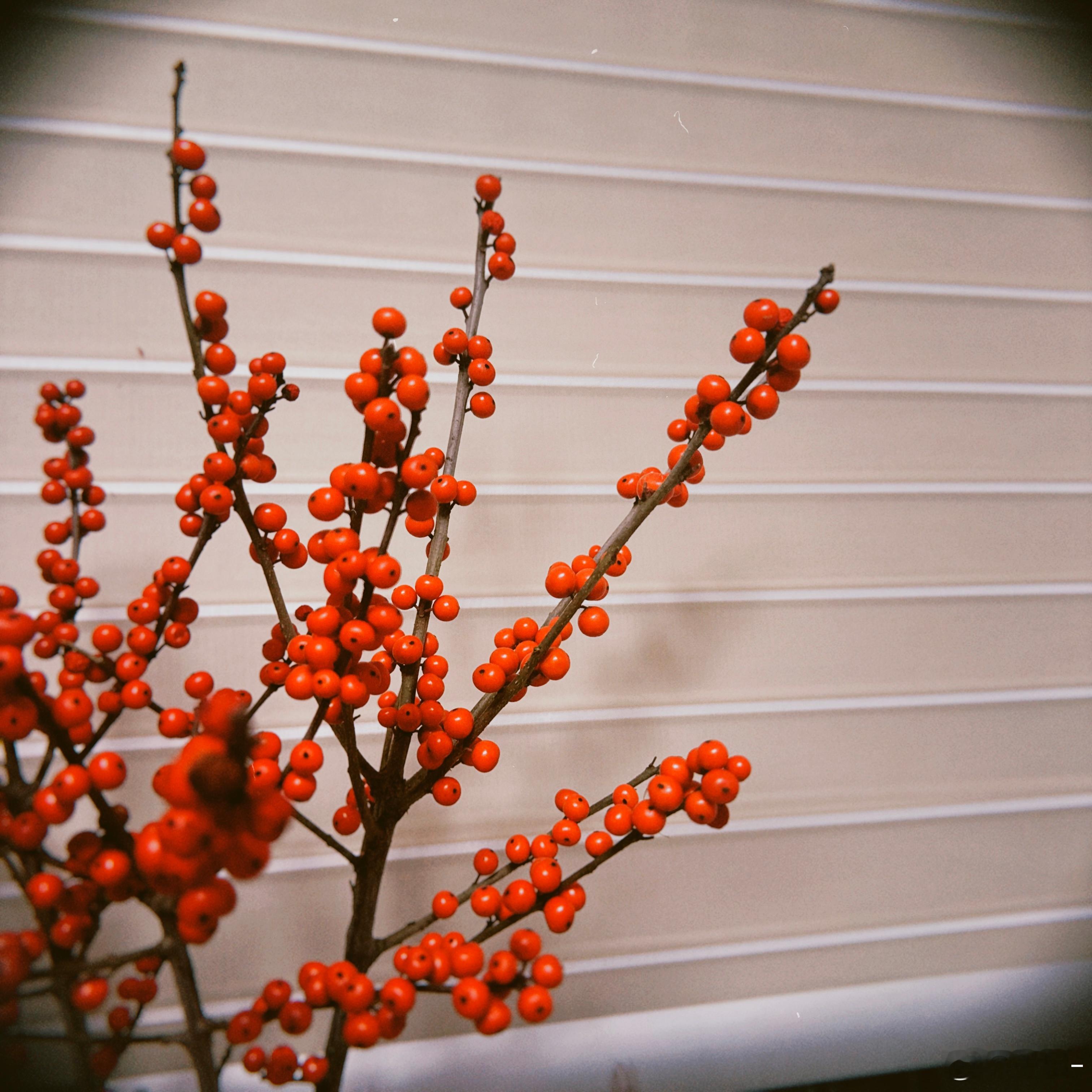 一收假就上强度这么大的班 过年那几天的快乐已经快忘记了………