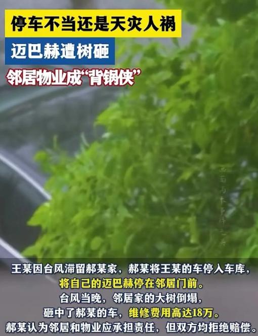 “讹天讹地讹空气！”广东，男子将自己的豪车迈巴赫停在邻居大门口，不想台风摩羯刮倒