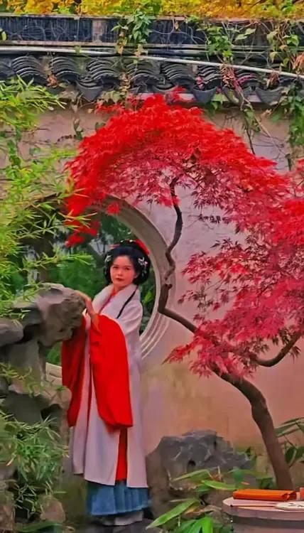 秋叶落庭前，诗意满心间。拍照成秋景 公园枫叶随拍 如此醉人的秋色 公园里秋色 秋