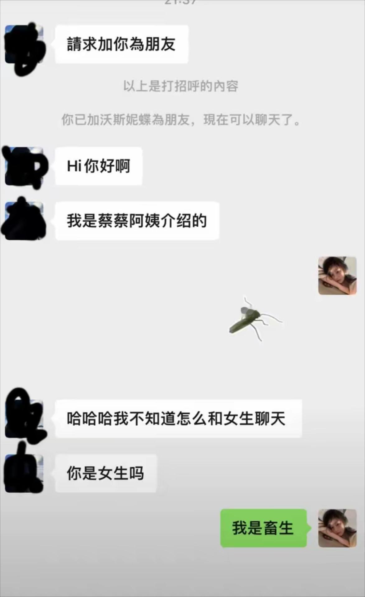 嫌弃你太烦人了，说你像蚊子一样嗡嗡嗡个不停！ ​​​