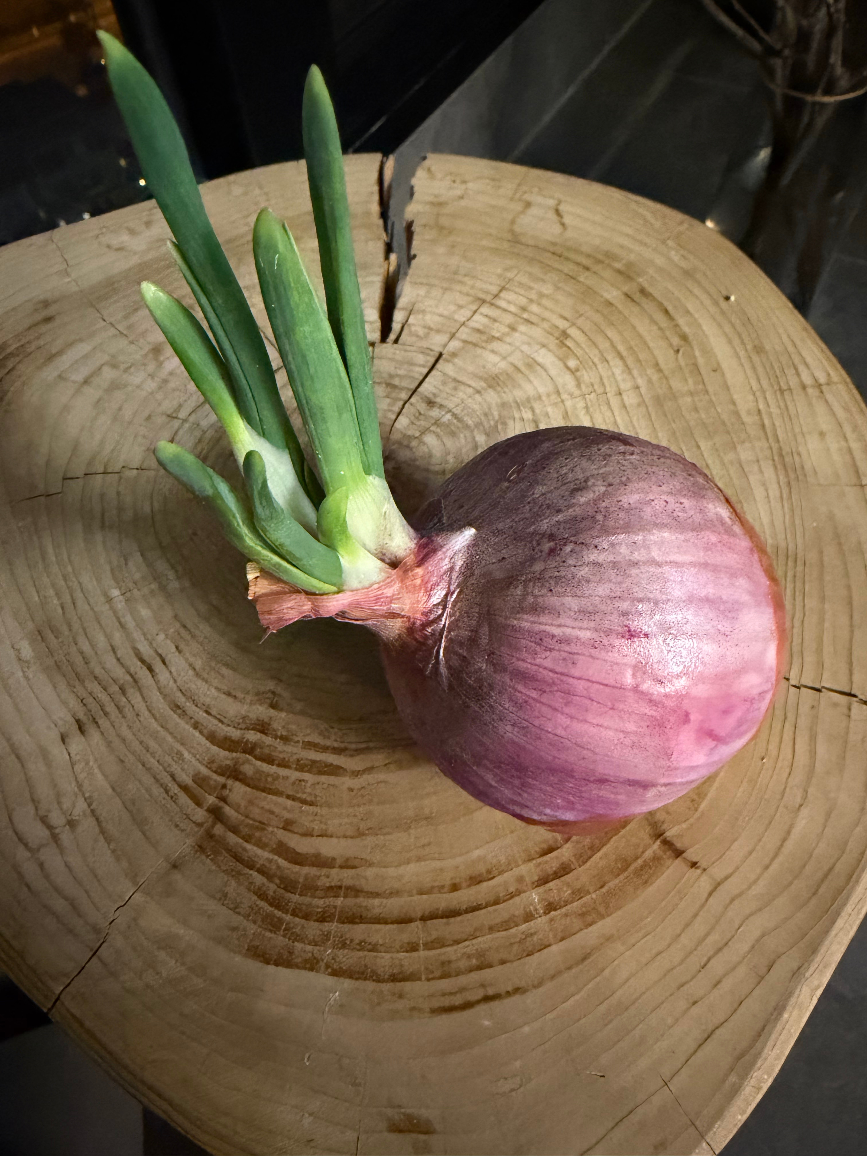 我种的绿植怎么样，过几天就好看了。 