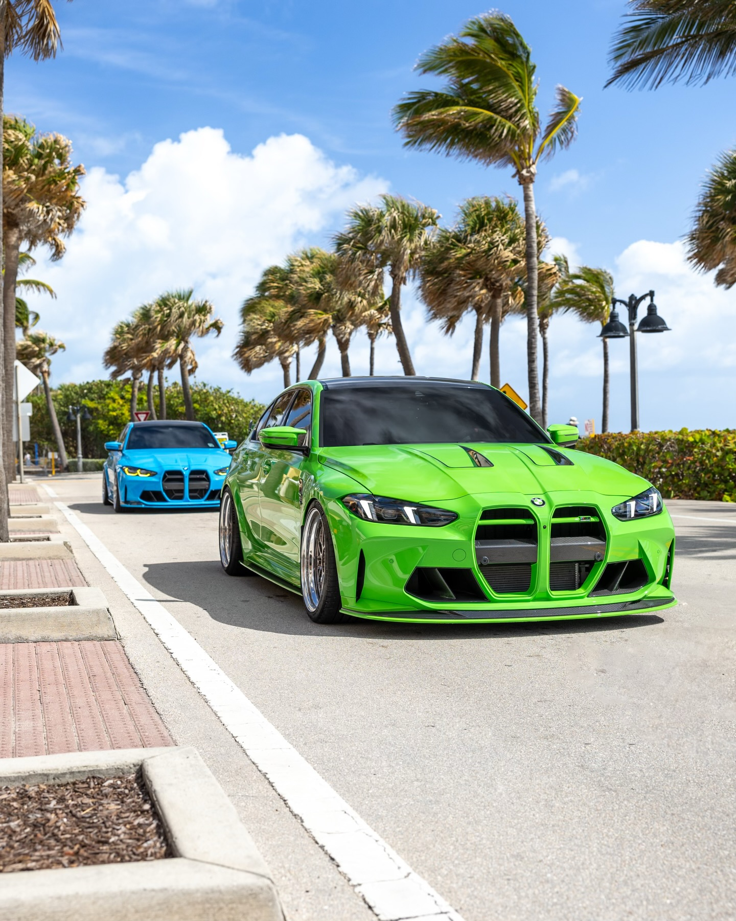 但愿世界风和日丽