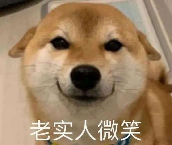 全面血洗的一天，沪指跌2.4%，深成指大跌5%，双创板块均暴跌超6%。个股500